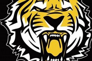 Top University Lab High School Football Teams | Best Schools in America: Top Public & Private Options