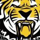Top University Lab High School Football Teams | Best Schools in America: Top Public & Private Options