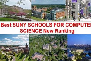 Top SUNY Schools for Computer Science Majors | Best Schools in America: Top Public & Private Options