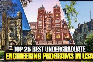 Top 10 Electrical Engineering Schools for Undergrads Best Schools in America: Top Public & Private Options Top 10 Electrical Engineering Schools for Undergrads | Best Schools in America: Top Public & Private Options
