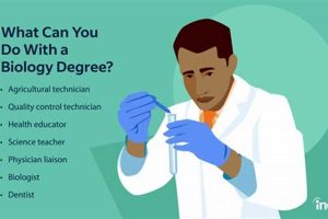 Top 10 Best Biology Major Schools: 2024 Guide Best Schools in America: Top Public & Private Options Top 10 Best Biology Major Schools: 2024 Guide | Best Schools in America: Top Public & Private Options