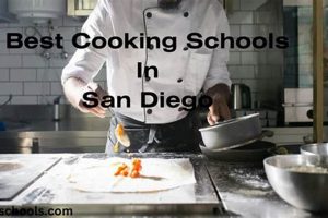 Top Culinary Schools in San Diego: 2024 Guide | Best Schools in America: Top Public & Private Options