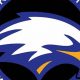 Ruskin High Football: A Legacy of Excellence | Best Schools in America: Top Public & Private Options