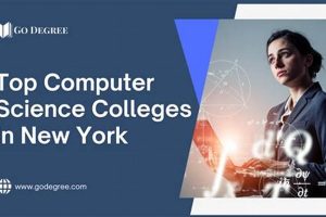 Top Computer Science Schools in New York 2024 | Best Schools in America: Top Public & Private Options