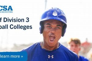 Top Division 3 Baseball Colleges: 2024 Guide | Best Schools in America: Top Public & Private Options
