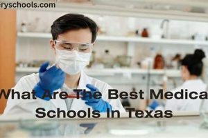 Top Medical Schools in Texas: A 2024 Guide | Best Schools in America: Top Public & Private Options