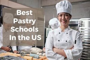 Top 10 Best Baking Schools in America 2024 Best Schools in America: Top Public & Private Options Top 10 Best Baking Schools in America 2024 | Best Schools in America: Top Public & Private Options