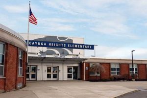 Top-Rated Cayuga Heights Elementary: A Parent's Guide | Best Schools in America: Top Public & Private Options