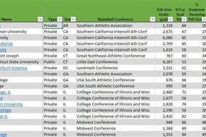 Top Division 3 Schools: Best Academics | Best Schools in America: Top Public & Private Options
