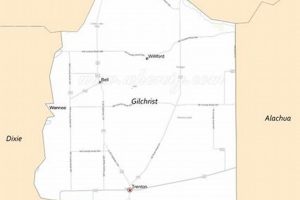 Find Gilchrist County Schools FL Employment & Jobs Best Schools in America: Top Public & Private Options Find Gilchrist County Schools FL Employment & Jobs | Best Schools in America: Top Public & Private Options