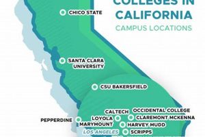 Top Cal State Nursing Schools: 2024 Guide | Best Schools in America: Top Public & Private Options