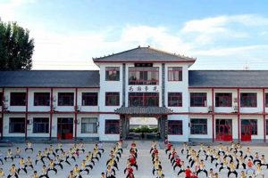 Best Martial Arts Schools | Best Schools in America: Top Public & Private Options