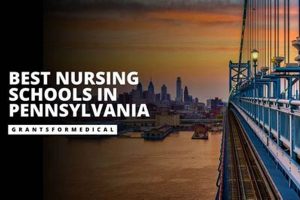 Top Pennsylvania Nursing Schools & Programs | Best Schools in America: Top Public & Private Options
