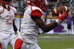 2024 GA HS Football Playoff Predictions & Bracket | Best Schools in America: Top Public & Private Options