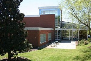 Surviving Carnage Middle School: A Guide | Best Schools in America: Top Public & Private Options