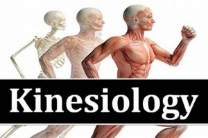 Top Kinesiology Schools in Texas: 2024 Guide | Best Schools in America: Top Public & Private Options