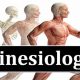 Top Kinesiology Schools in Texas: 2024 Guide | Best Schools in America: Top Public & Private Options