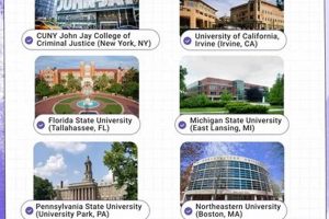 Top 10 Best Criminal Justice Schools in the US 2024 | Best Schools in America: Top Public & Private Options