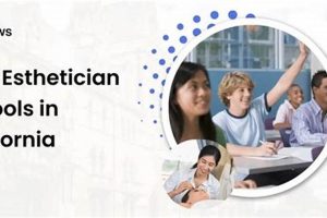 Top Esthetician Schools in California: 2024 Guide | Best Schools in America: Top Public & Private Options