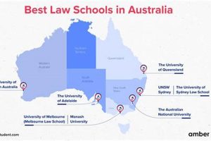 Top Law Schools for International Law Experts | Best Schools in America: Top Public & Private Options