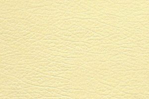 Get Your Austintown Fitch High School Transcripts Now Best Schools in America: Top Public & Private Options Get Your Austintown Fitch High School Transcripts Now | Best Schools in America: Top Public & Private Options