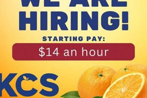 Knox County Schools: Non-Certified Job Openings | Best Schools in America: Top Public & Private Options