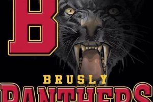 Go Brusly High Football: Panthers Pride! | Best Schools in America: Top Public & Private Options