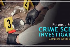 Top Crime Scene Investigation Schools: 2024 Guide Best Schools in America: Top Public & Private Options Top Crime Scene Investigation Schools: 2024 Guide | Best Schools in America: Top Public & Private Options