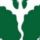 Top Youngsville Middle School: A Guide | Best Schools in America: Top Public & Private Options