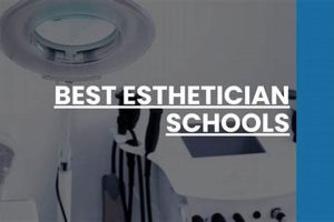 Top Rated Esthetician Schools in Chicago: 2024 Guide | Best Schools in America: Top Public & Private Options
