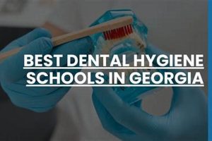 Top Dental Hygienist Schools in Georgia 2024 | Best Schools in America: Top Public & Private Options