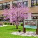 Top Sherman Middle School: Guide &amp; Info | Best Schools in America: Top Public & Private Options