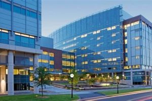 Top Medical Schools in South Carolina 2024 | Best Schools in America: Top Public & Private Options