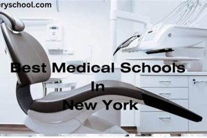 Top Medical Schools in NY: 2024 Ranking | Best Schools in America: Top Public & Private Options