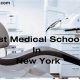 Top Medical Schools in NY: 2024 Ranking | Best Schools in America: Top Public & Private Options