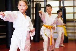 Top Taekwondo Schools Near Me: Find Your Dojo | Best Schools in America: Top Public & Private Options