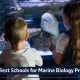 Top Marine Biology Schools in California 2024 | Best Schools in America: Top Public & Private Options
