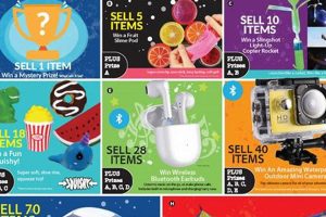 Best Elementary School Fundraiser Prizes & Ideas | Best Schools in America: Top Public & Private Options