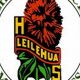 Leilehua High School Calendar 2023-24: Key Dates | Best Schools in America: Top Public & Private Options