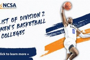 Division 2 Schools For Basketball | Best Schools in America: Top Public & Private Options