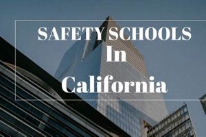 Top Best Safety Schools: Your College List | Best Schools in America: Top Public & Private Options