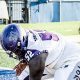 Your Hammond High School Wildcats Football Guide | Best Schools in America: Top Public & Private Options