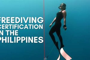 Top Freediving Schools in the Philippines 2024 | Best Schools in America: Top Public & Private Options