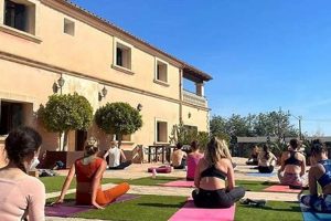 Top 10 Best Yoga Schools In The World 2024 | Best Schools in America: Top Public & Private Options