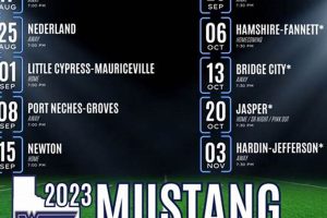 Wilmington HS Football: 2023 Schedule & Tickets | Best Schools in America: Top Public & Private Options