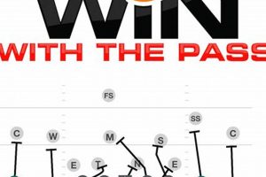 Winning High School Football Playbook Strategies | Best Schools in America: Top Public & Private Options