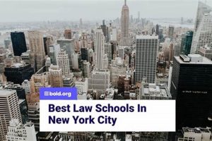Top 10 Best Law Schools in NYC 2024 | Best Schools in America: Top Public & Private Options