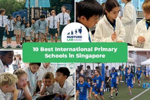 Top International Primary Schools in Singapore 2024 | Best Schools in America: Top Public & Private Options