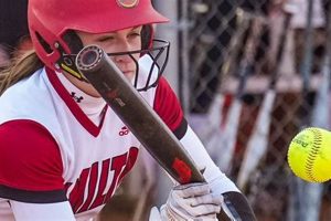 Top Illinois High School Softball Rankings 2024 | Best Schools in America: Top Public & Private Options