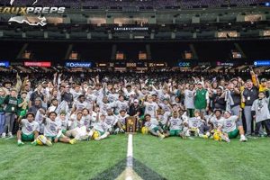 Cecilia HS Football Championship Finals 2024 | Best Schools in America: Top Public & Private Options